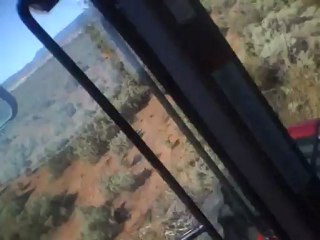 Leue's terrorfying experince on the farm