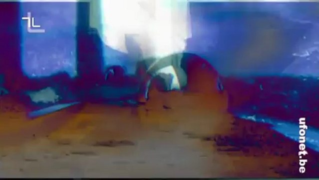 [ blond cat ] VAN GOGH SARISI : Zenobia cadu qız : : UFONET © TEC.