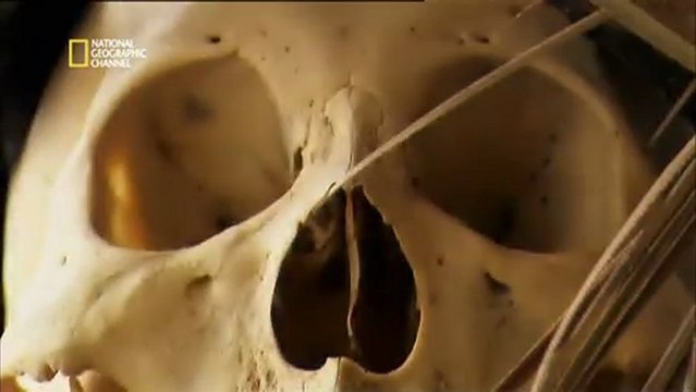 Collectionneurs De L' Extreme