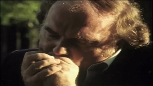 John Lee Hooker - Baby Please Don't Go ft Van Morrison (Come And See About Me)