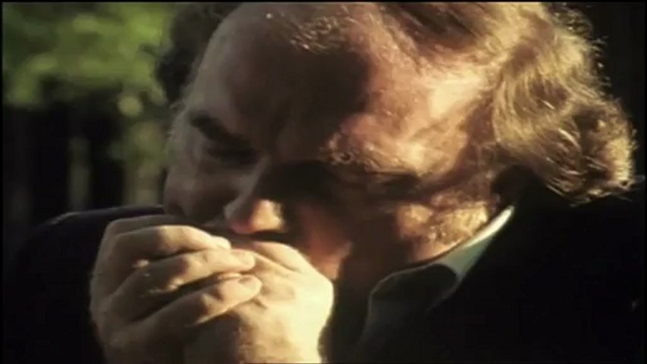 John Lee Hooker - Baby Please Don't Go ft Van Morrison (Come And See About Me)