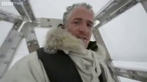 Close encounter with a polar bear - The Polar Bear Family & Me - Episode 1 - BBC Two