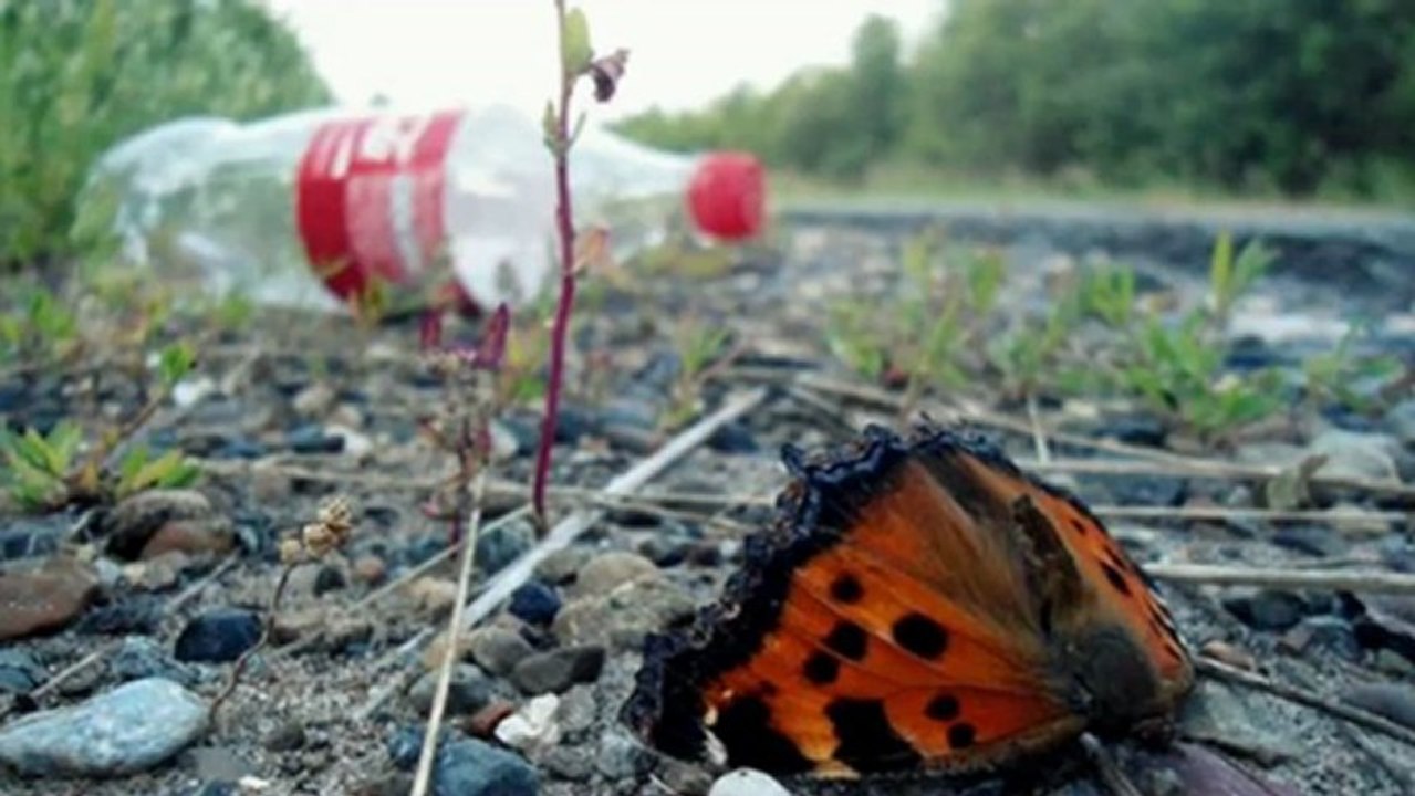 pollution