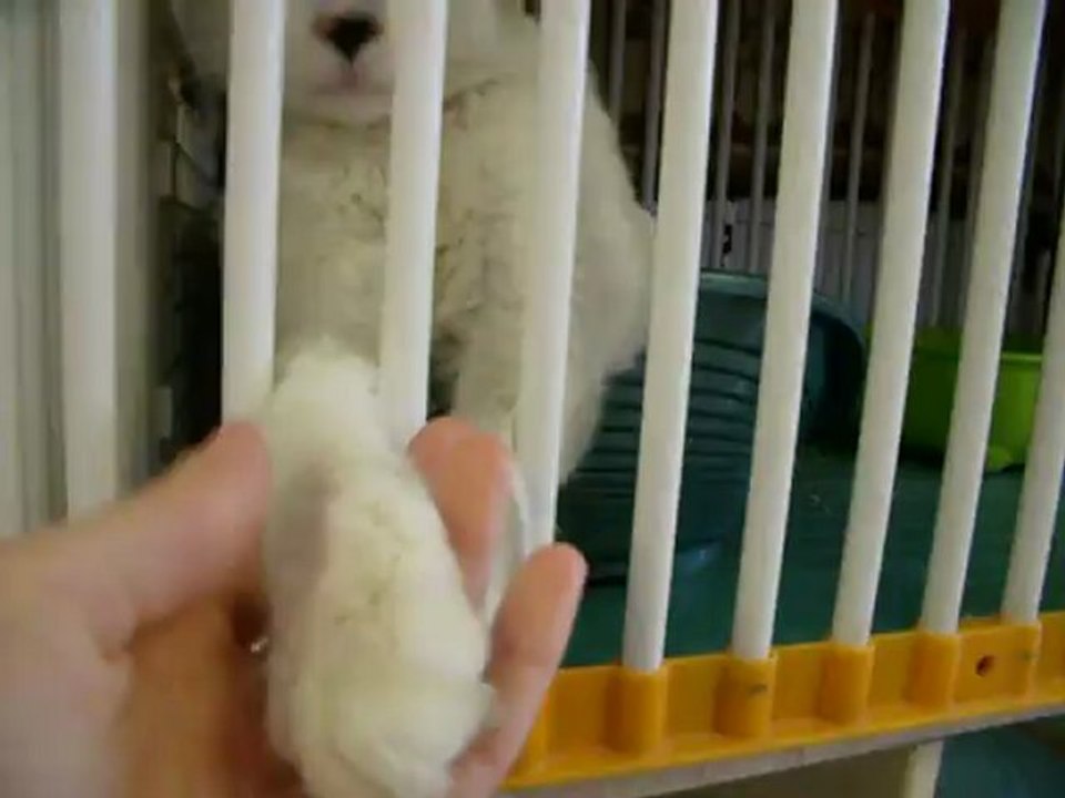 Tchang 06 01 13 EDC du Parisis