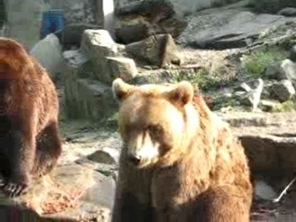 olmense zoo
