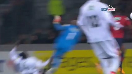 Sample2-shockwave-flash-L3N2