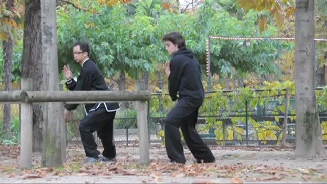 Cours de Tai chi chuan / Tu Minh Tan Shifu