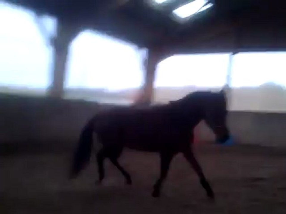 Rodeo 06 01 2013