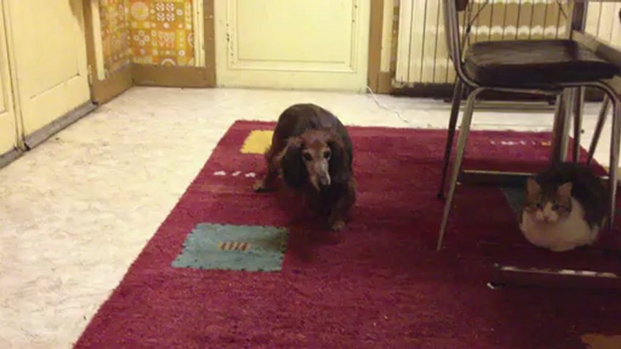 24h après la séance d'ostéo