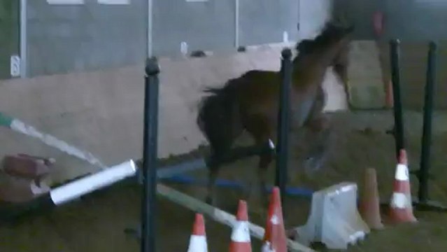 Qrina saut en liberté 6 janvier 2013