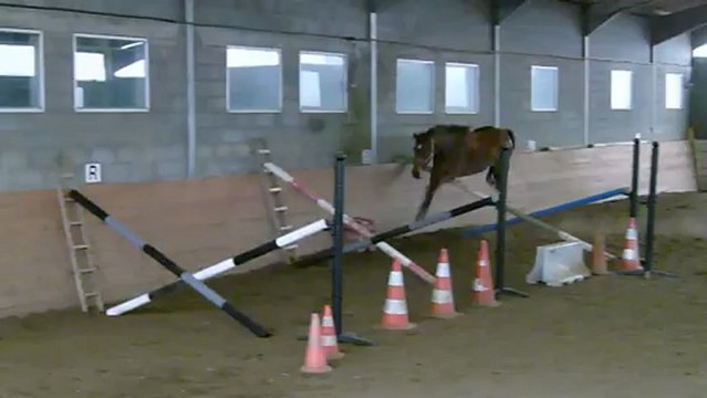 saut en liberté du 6 janvier 2013
