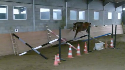 saut en liberté du 6 janvier 2013