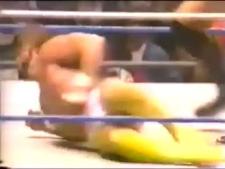 Randy savage vs ted dibease