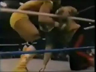 Randy Savage vs Tony stetson