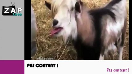 Zapping du net du 7 janvier 2013