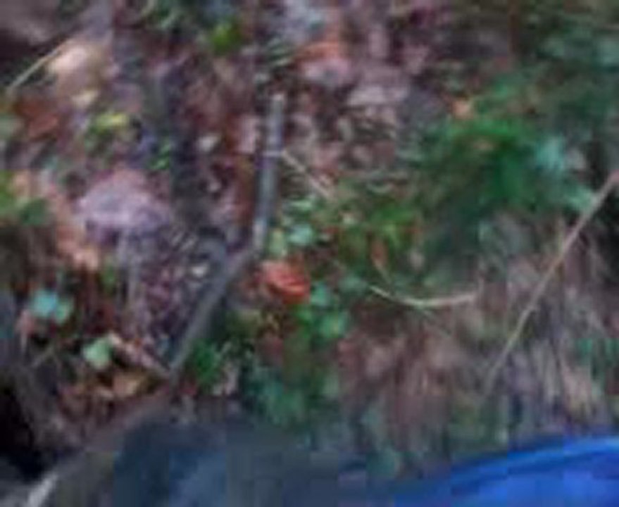 Vidéo0009