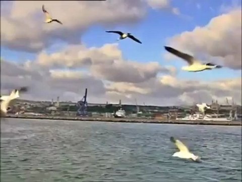 ENGIN AKYUREK Romance by the sea