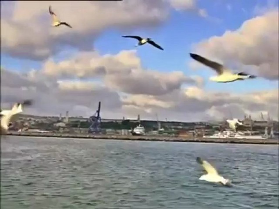 ENGIN AKYUREK  Romance by the sea