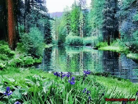 Emre Ermiş Dost ile Dost