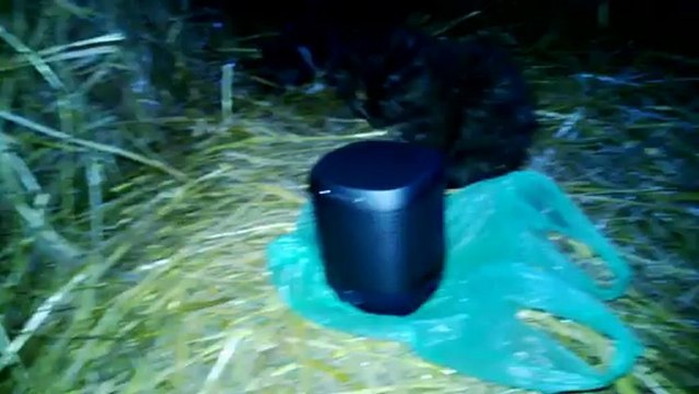 Nokia Play 360 + Nokia Lumia 920