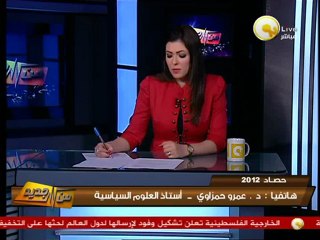 د. عمرو حمزاوي: 2012 عام المجازر الإنسانية