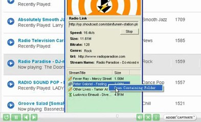 Download Radio Paradise mp3 radio for free