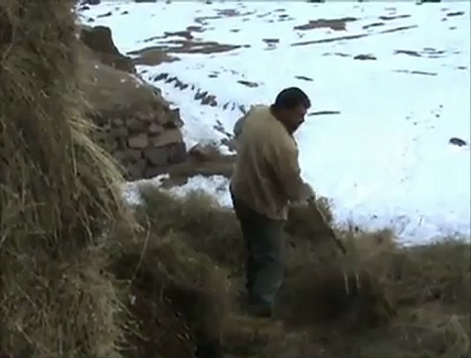 Ardahan Hoçvan - Kış Manzaraları @ MEHMET ALİ ARSLAN Tv