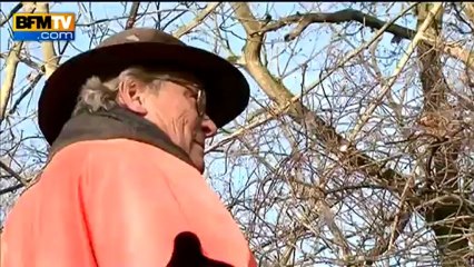 Halte aux sangliers !