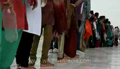 Agra-Taj Mahal-27.flv