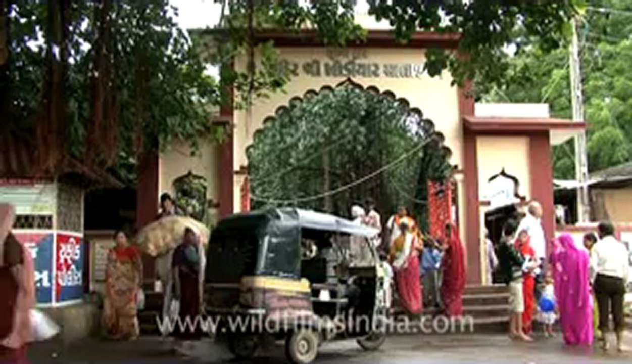 Alang-hdv-410-21.flv