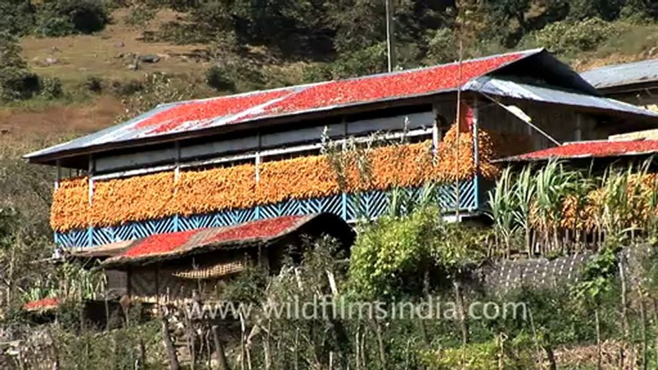 Arunachal pradesh-1.mov