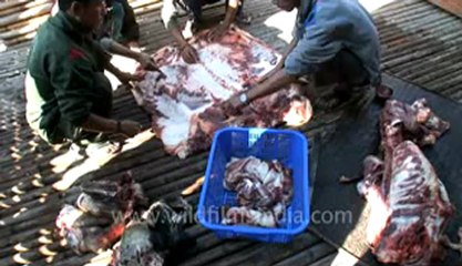 Arunachal-Ziro village-10-pork .flv