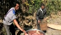 Arunachal-Ziro village-15-boiling of beef.flv