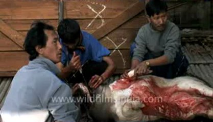 Arunachal-Ziro village-2- pork.flv