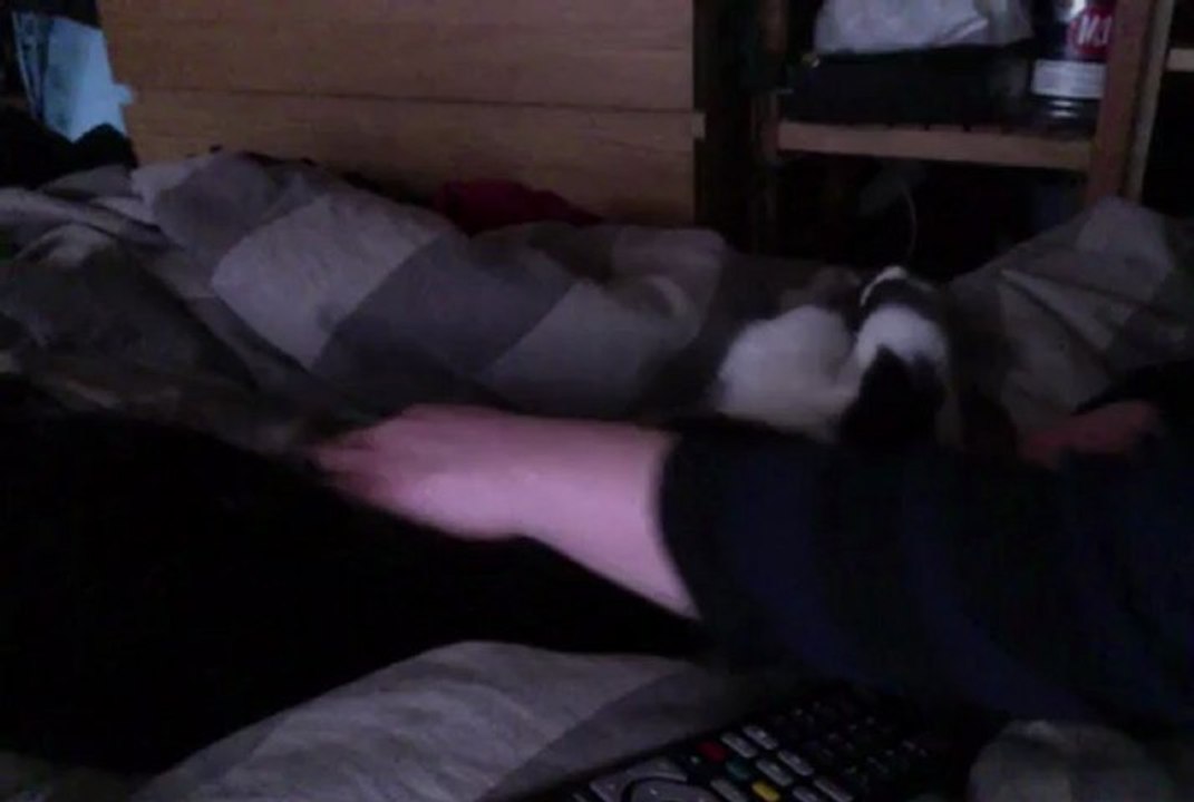 Vidéo du 7-01-13 à 14.37