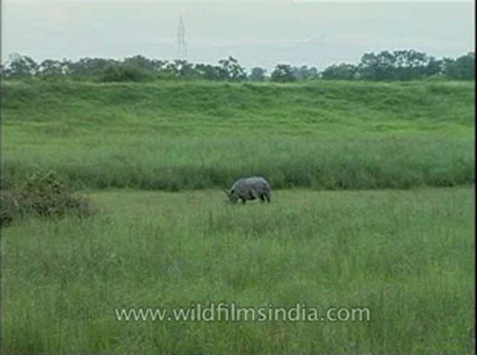 Assam-mdv-631-6-12.flv