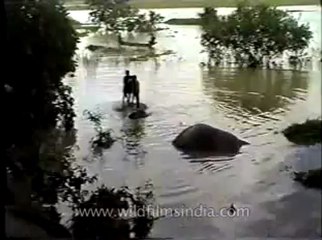 Assam-mdv-631-6-5.flv