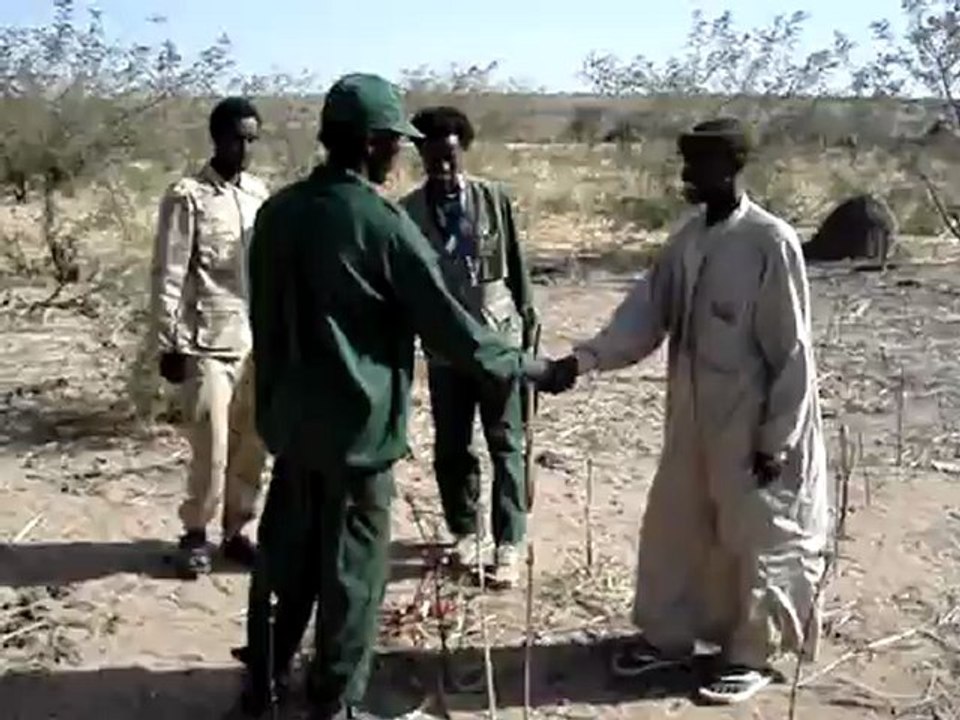 Ufdd-tchad