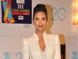 Esha Gupta @ Zee Cine Awards 2013
