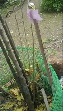 Κύριος Δημήτρης άστεγος στον λόφο Φιλοπάππου