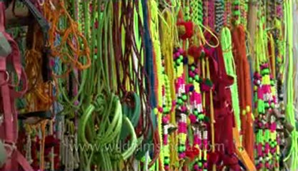 Bihar-Sonepur Fair-hdv-270-23.flv