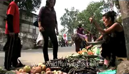 Chapchar Kut-fx-1-hdv-23.flv