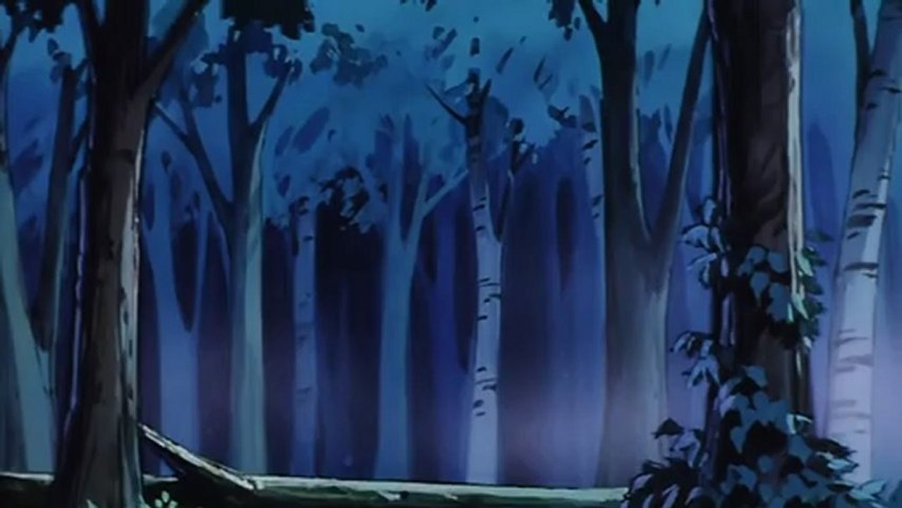 [FA]Figure 17 Tsubasa & Hikaru #3