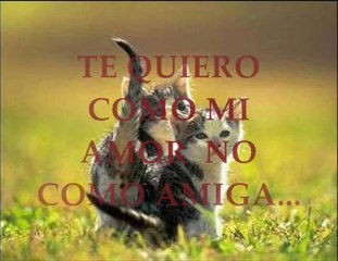 nilton cesar - la enamorada que soñe