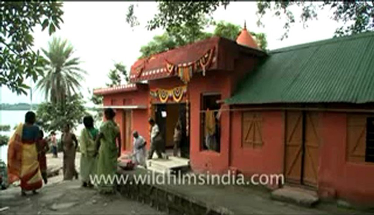 Blinkx-assam-51.flv
