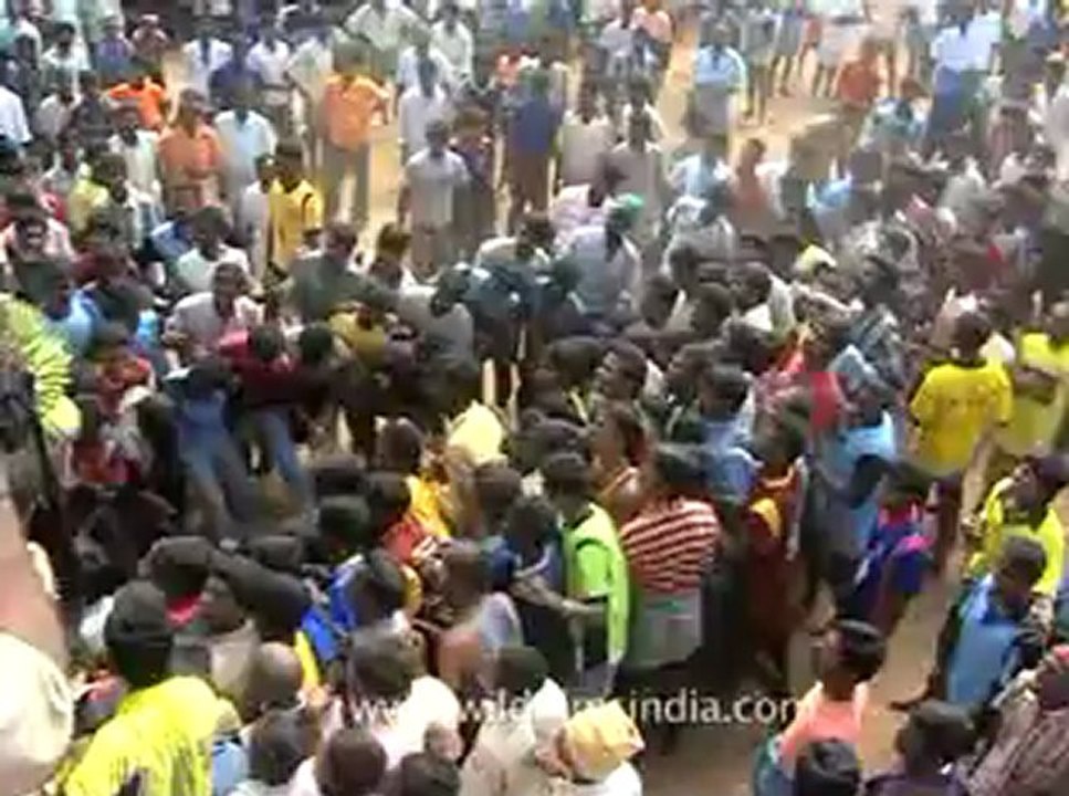Bull fighting-kerala-1.flv
