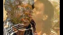 Clip Diembering  Metzo Djatah