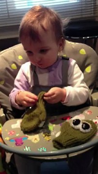 drôles de grenouilles