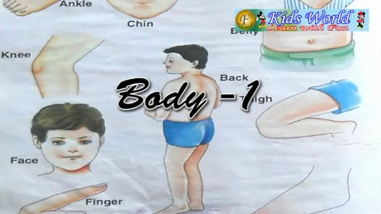 Body -1.mp4