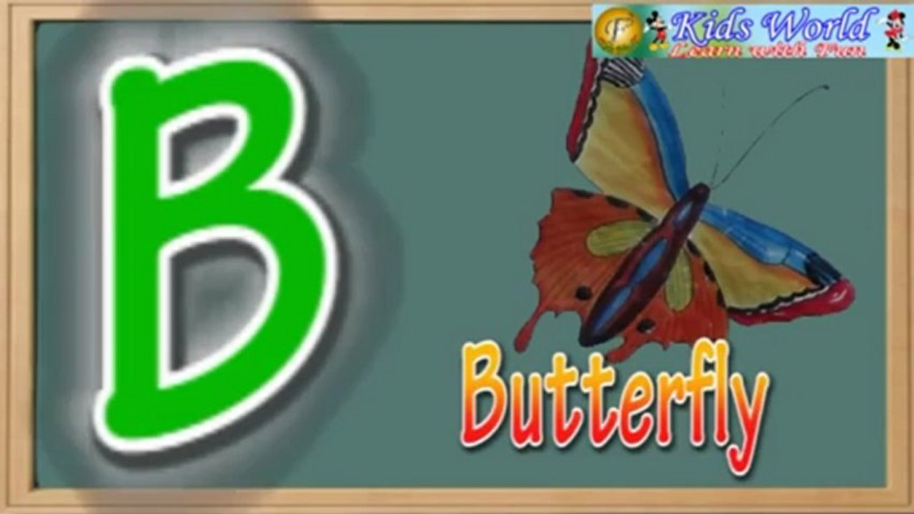 INSECTS.mp4